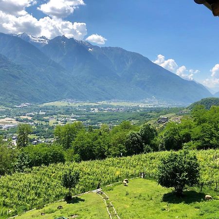 Agriturismo Cavria Castione Andevenno Dış mekan fotoğraf