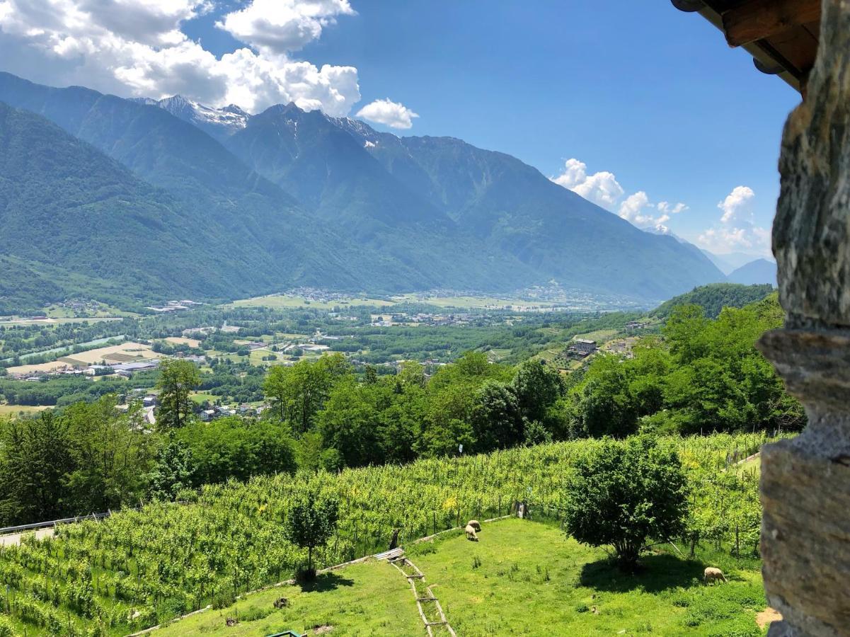 Agriturismo Cavria Castione Andevenno Dış mekan fotoğraf